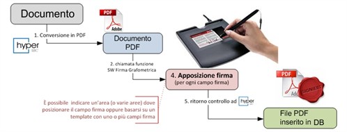 sk_firmagrafo
